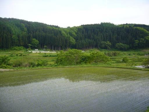 Typical Herai landscape